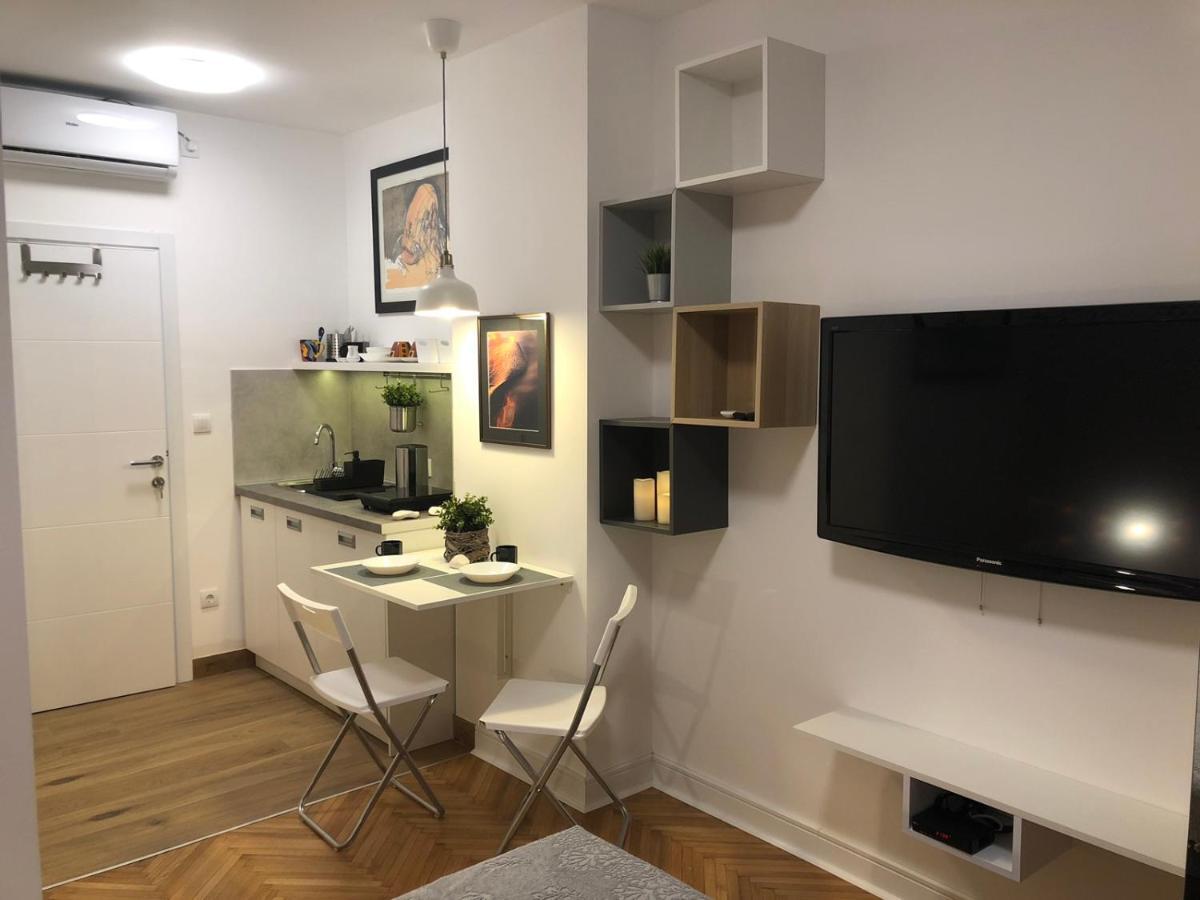Vracar Apartment بلغراد المظهر الخارجي الصورة