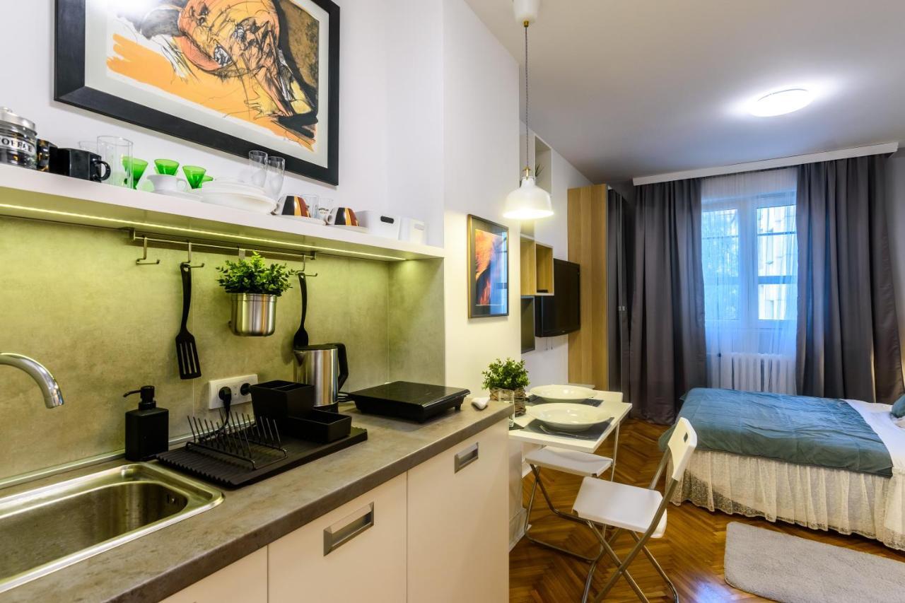 Vracar Apartment بلغراد المظهر الخارجي الصورة