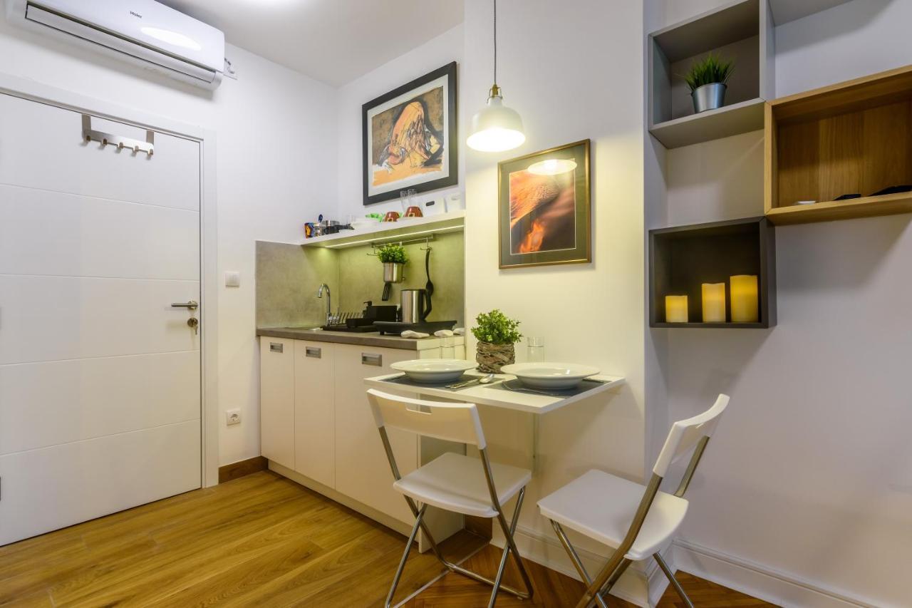 Vracar Apartment بلغراد المظهر الخارجي الصورة