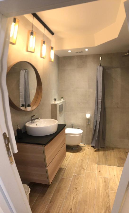 Vracar Apartment بلغراد المظهر الخارجي الصورة