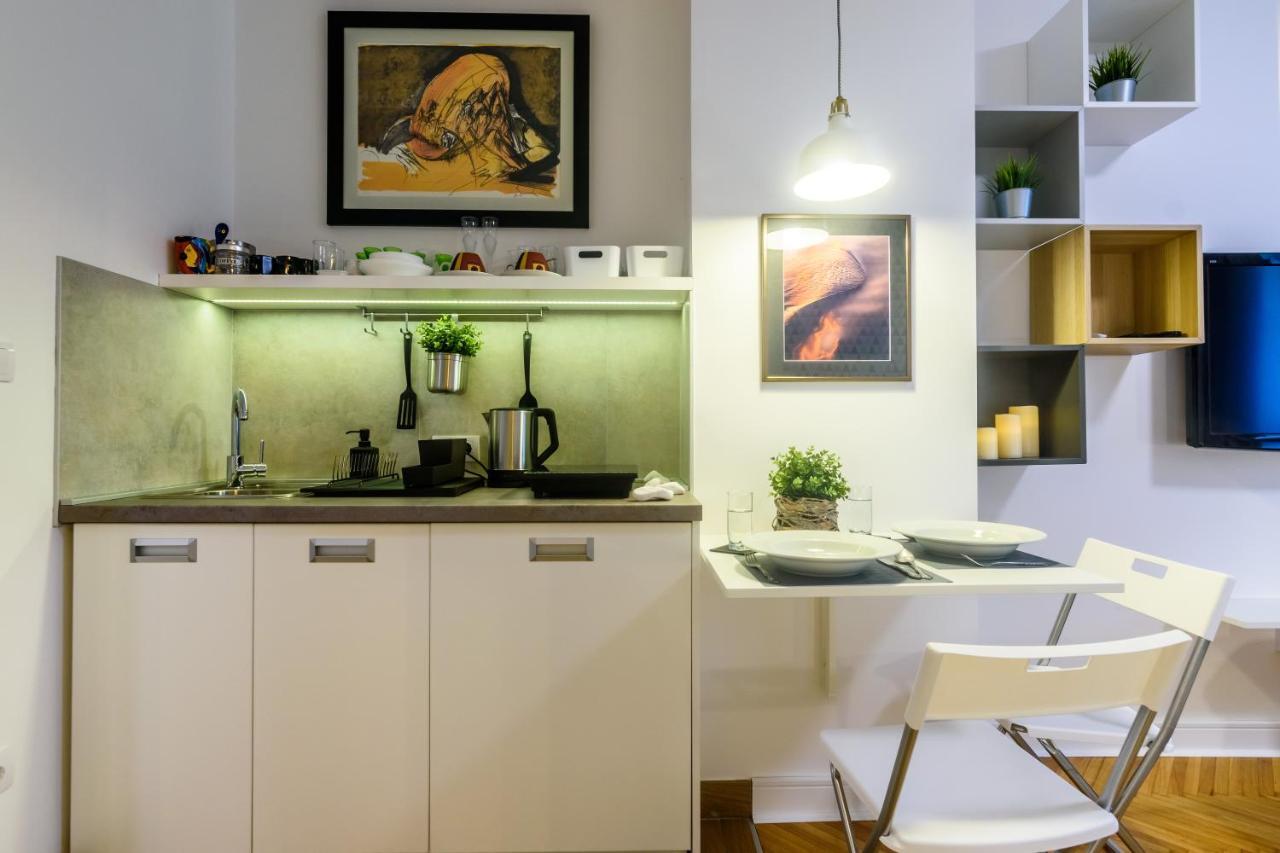 Vracar Apartment بلغراد المظهر الخارجي الصورة